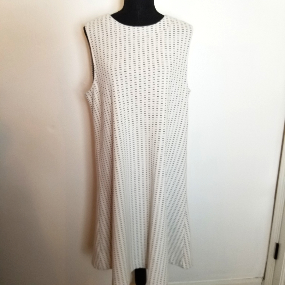 Ann Taylor Sleeveless Shift Dress
